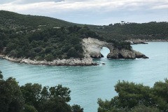 IMG_0808